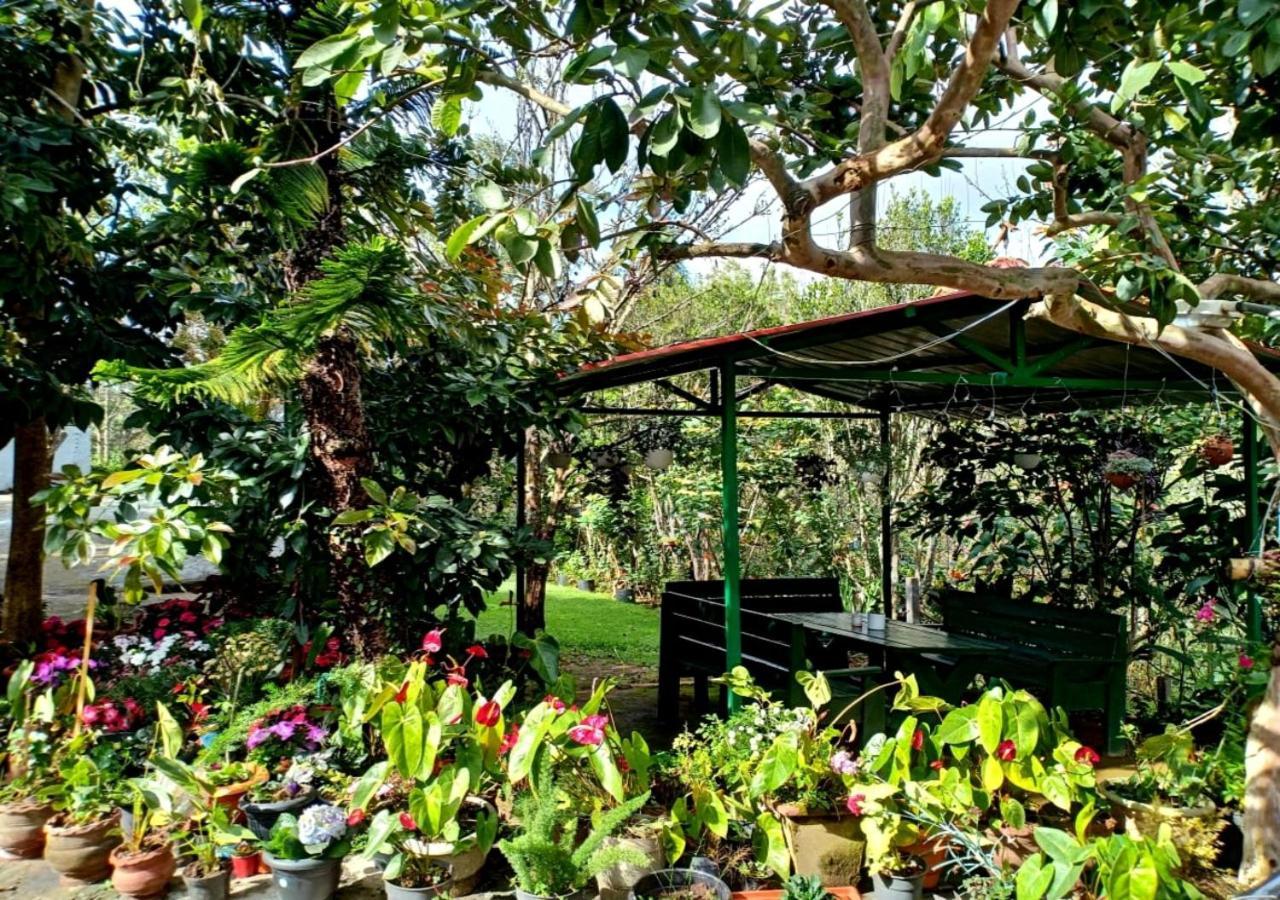 Silver Spruce Entire Nature Villa كوتاغيري المظهر الخارجي الصورة