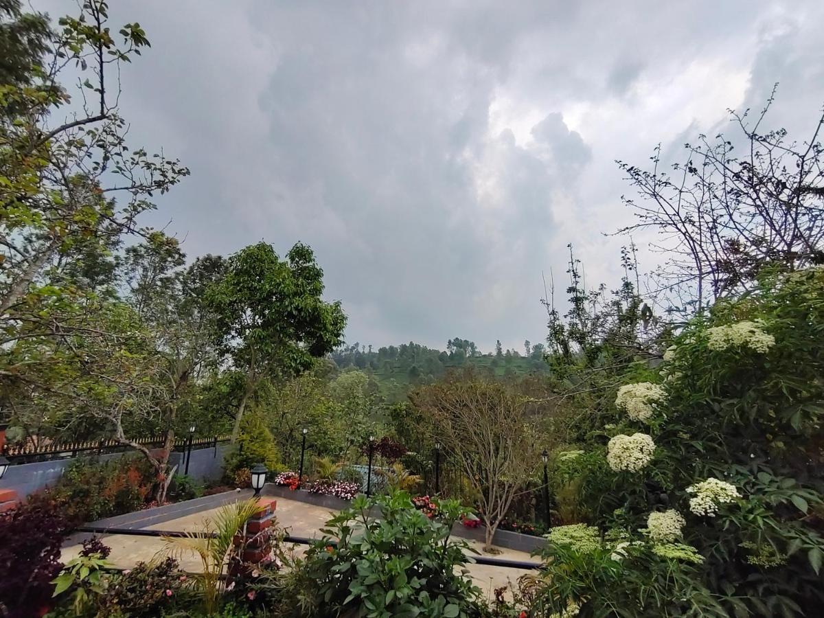 Silver Spruce Entire Nature Villa كوتاغيري المظهر الخارجي الصورة