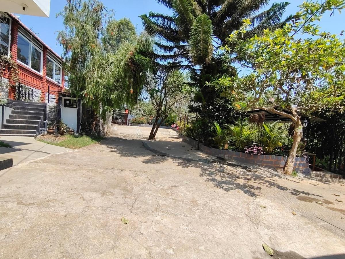 Silver Spruce Entire Nature Villa كوتاغيري المظهر الخارجي الصورة