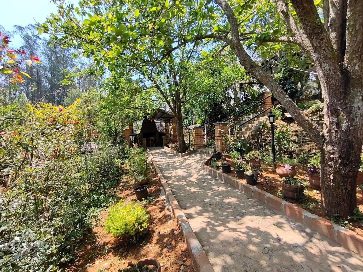 Silver Spruce Entire Nature Villa كوتاغيري المظهر الخارجي الصورة