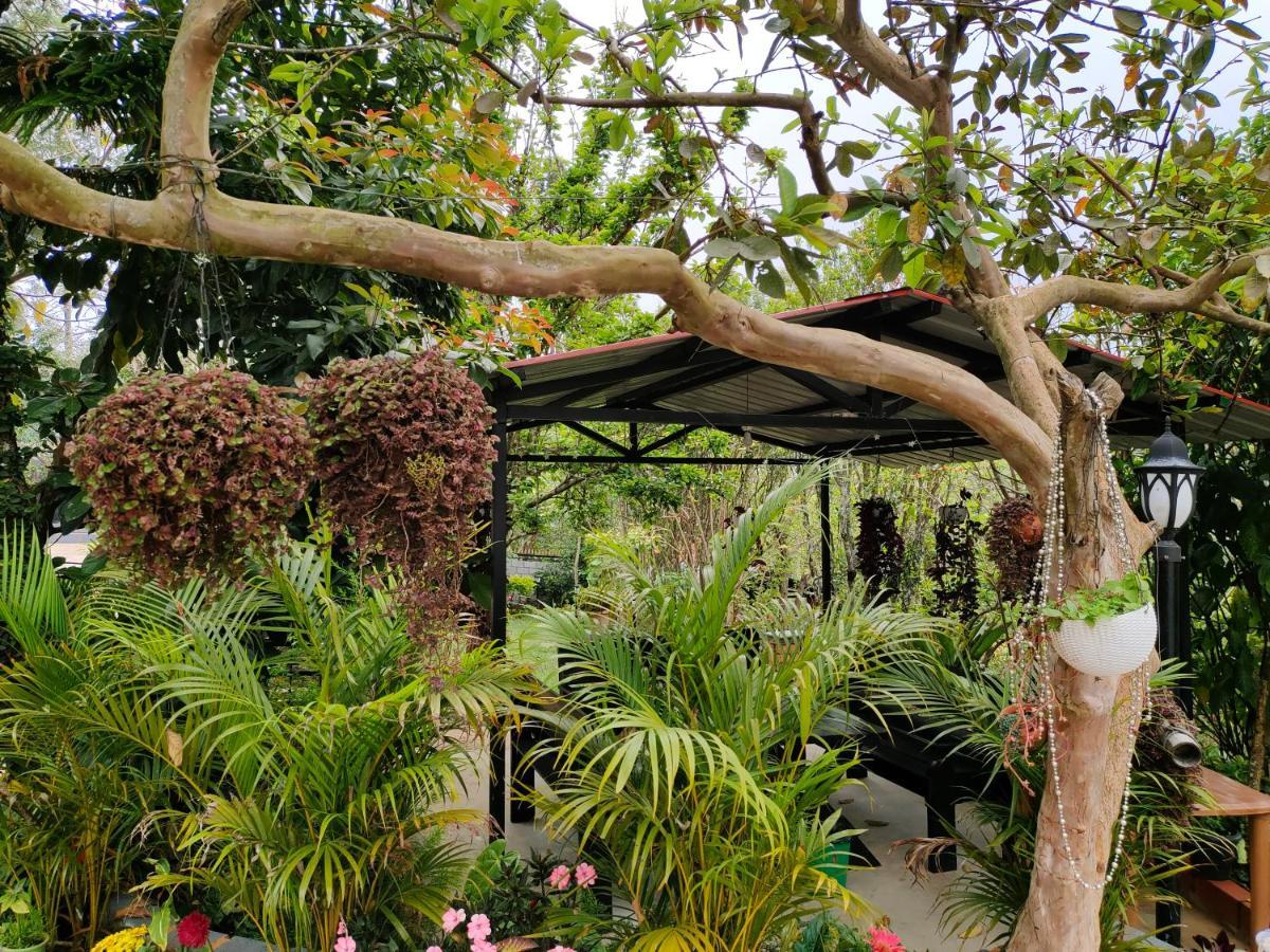 Silver Spruce Entire Nature Villa كوتاغيري المظهر الخارجي الصورة
