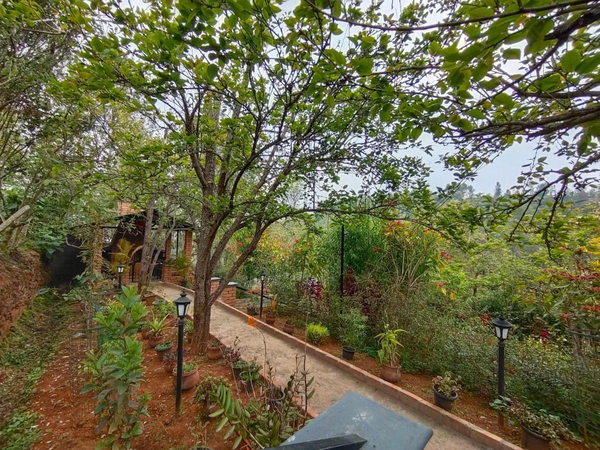Silver Spruce Entire Nature Villa كوتاغيري المظهر الخارجي الصورة