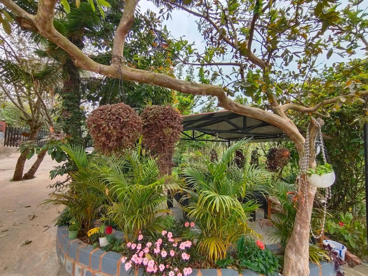 Silver Spruce Entire Nature Villa كوتاغيري المظهر الخارجي الصورة