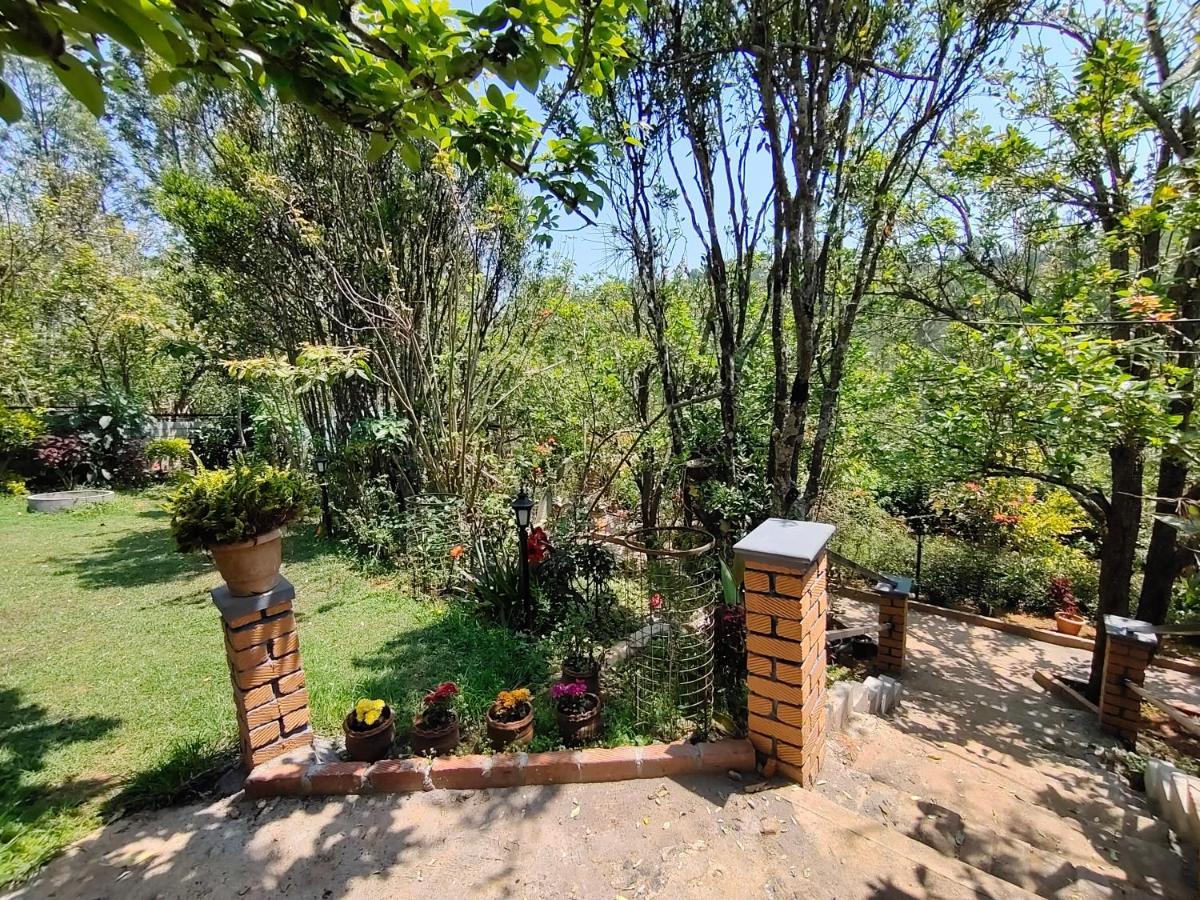 Silver Spruce Entire Nature Villa كوتاغيري المظهر الخارجي الصورة