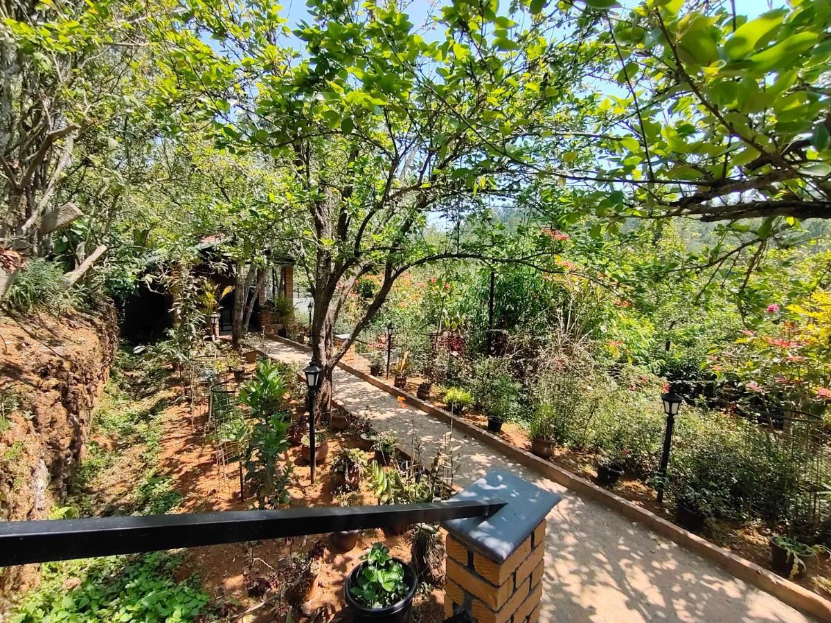 Silver Spruce Entire Nature Villa كوتاغيري المظهر الخارجي الصورة