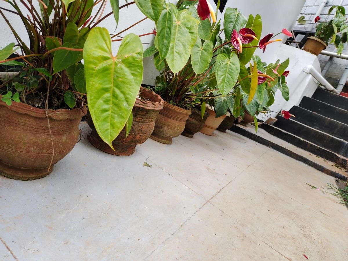 Silver Spruce Entire Nature Villa كوتاغيري المظهر الخارجي الصورة