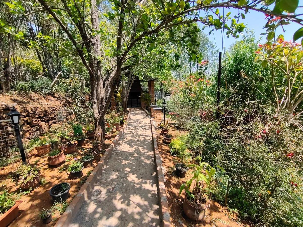 Silver Spruce Entire Nature Villa كوتاغيري المظهر الخارجي الصورة