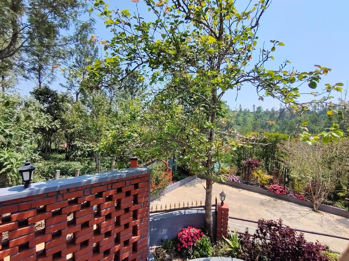 Silver Spruce Entire Nature Villa كوتاغيري المظهر الخارجي الصورة