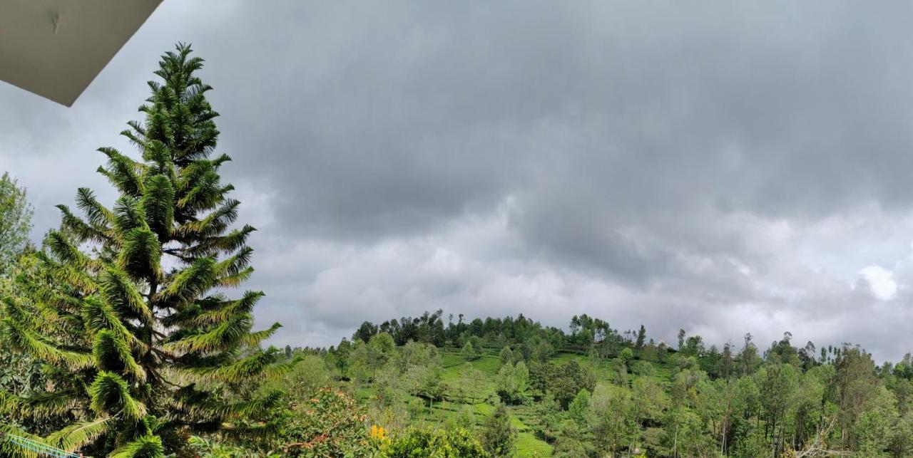 Silver Spruce Entire Nature Villa كوتاغيري المظهر الخارجي الصورة